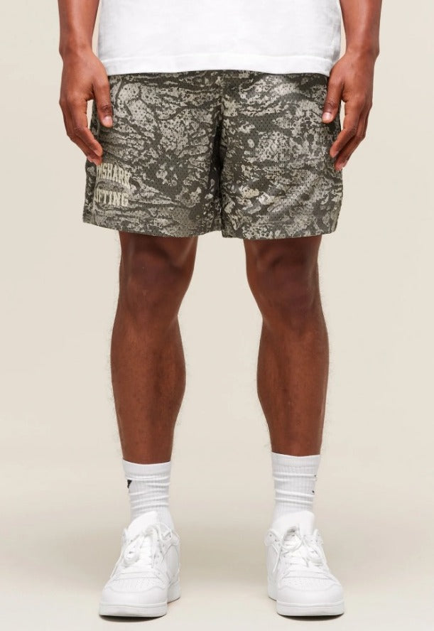 Lifting Mesh 5" Shorts