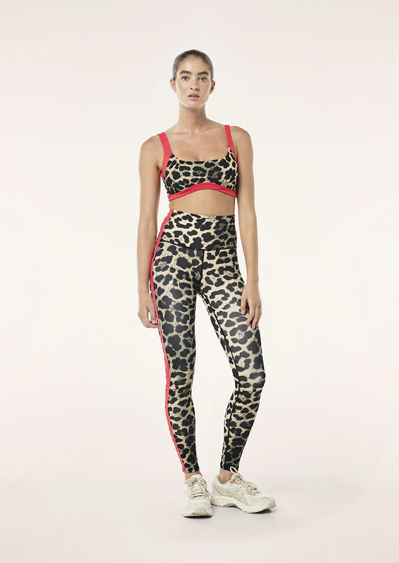 Vivid  Sports Leggin