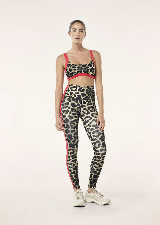 Vivid  Sports Leggin