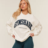 Collegiate Graphic Crew Neck Pullover